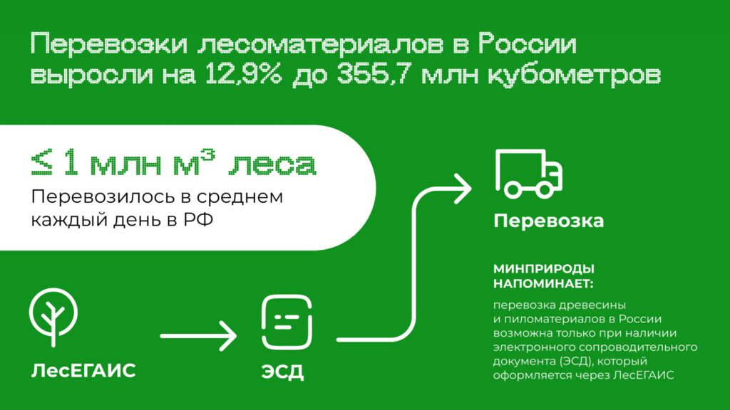 слайд компании, которая занимается лесозаготовками