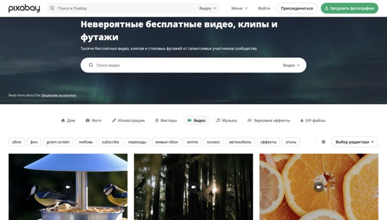 скриншот с платформы Pixabay