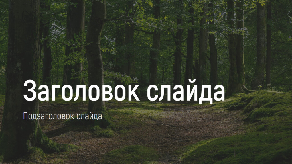 Слайд с фото в качестве фона