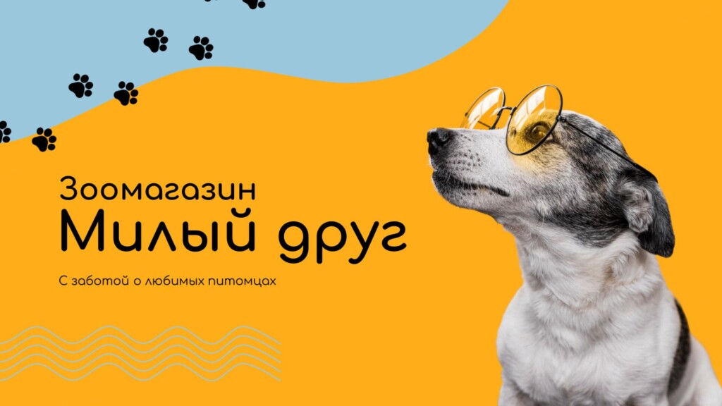 Титульный слайд презентации зоомагазина