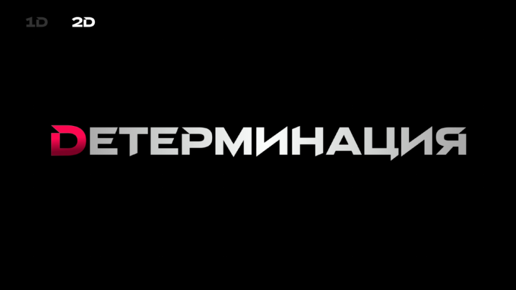 Детерминация