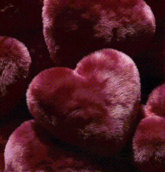 Поздравление