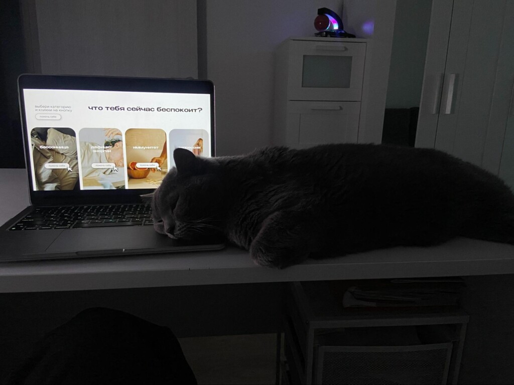 Рабочий стол