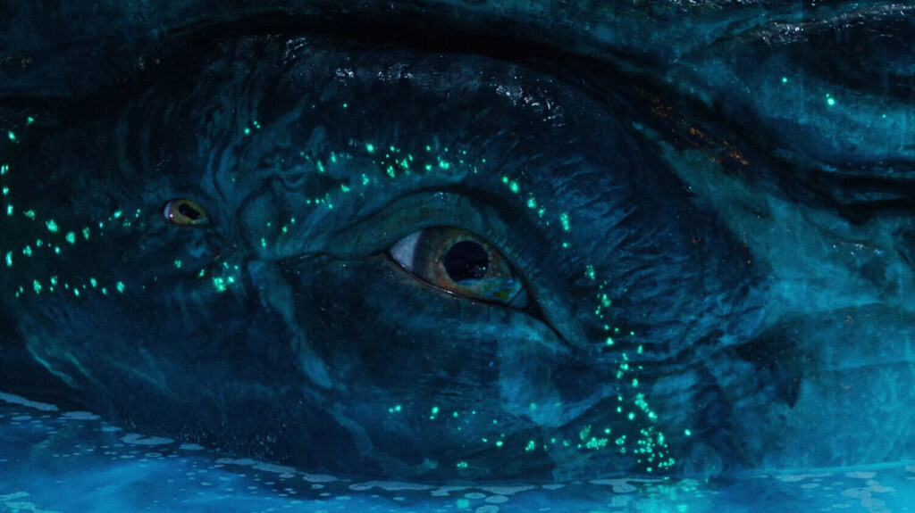 Крупный план