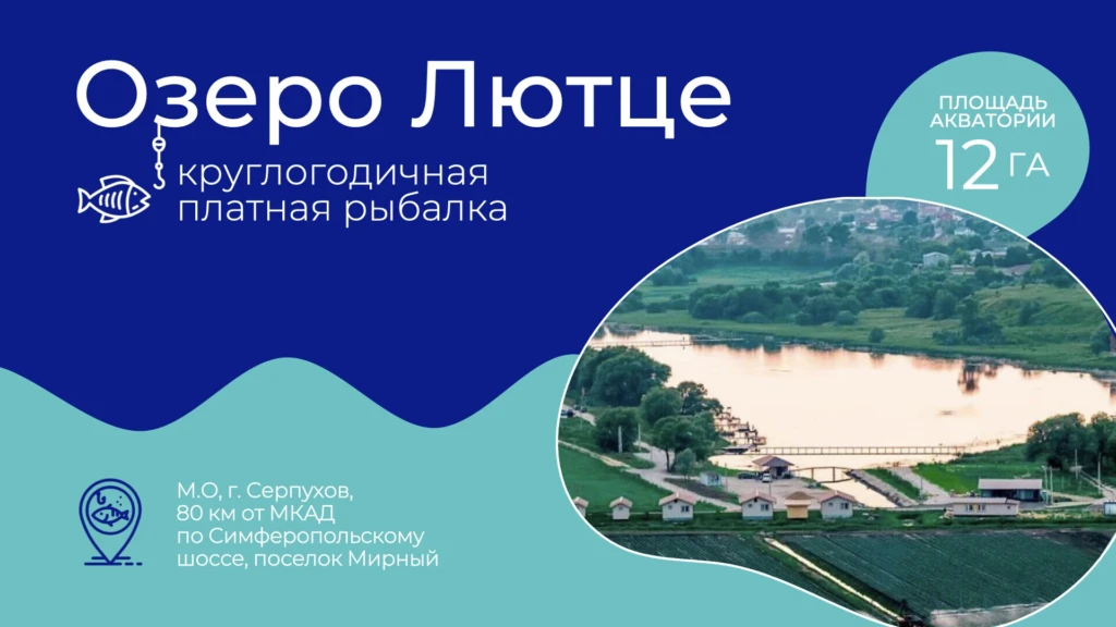 Титульный слайд презентации