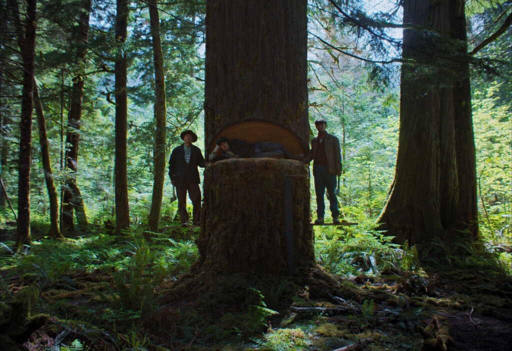 Люди в лесу